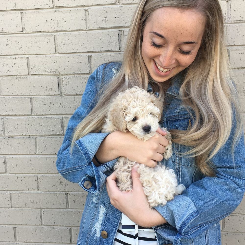 Meet your Posher, Rebekah